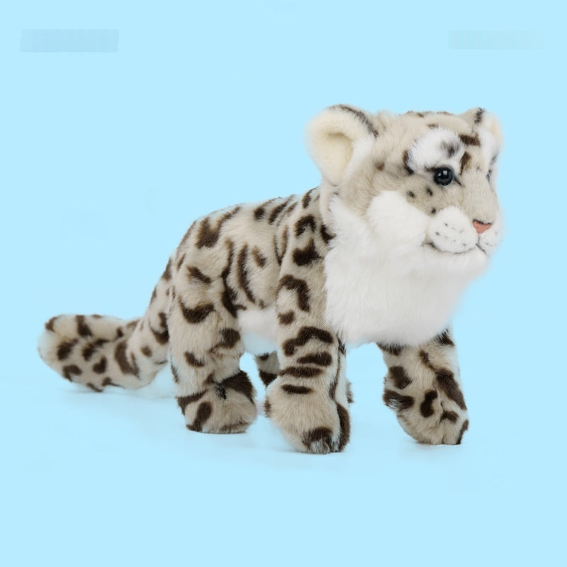 ec73e1608bed3d213f315eed849df53d