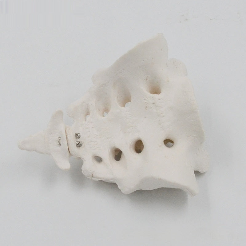 d20aa6206a321c336e7918615049c159