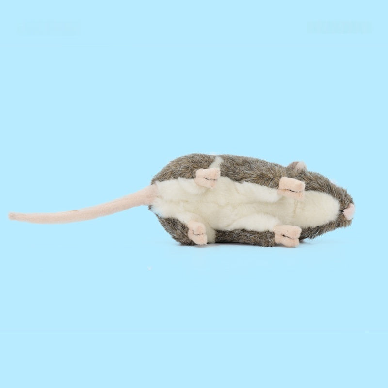 2cc7f6aa4e11b8afd3aeda2b68c5016b