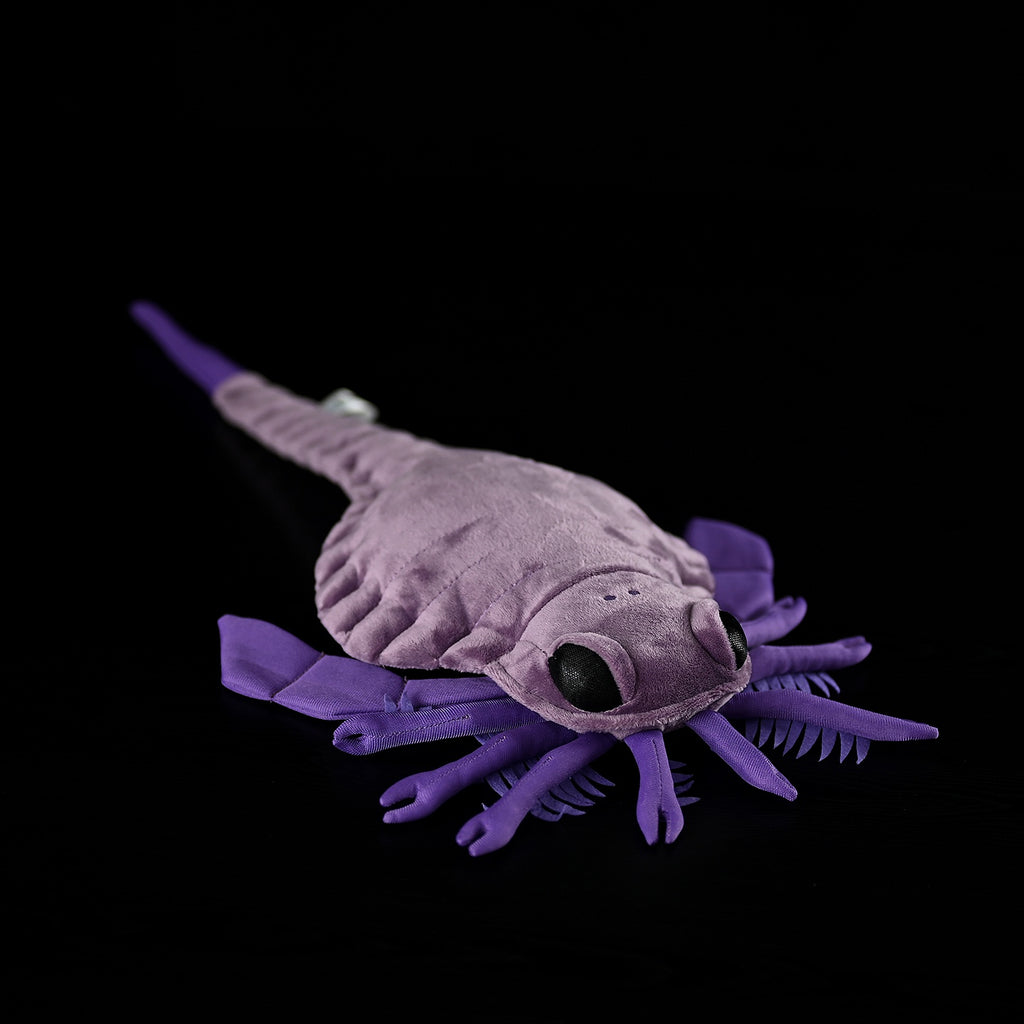 f8d2c3a810d4bcaeac022da8bacb3a3b