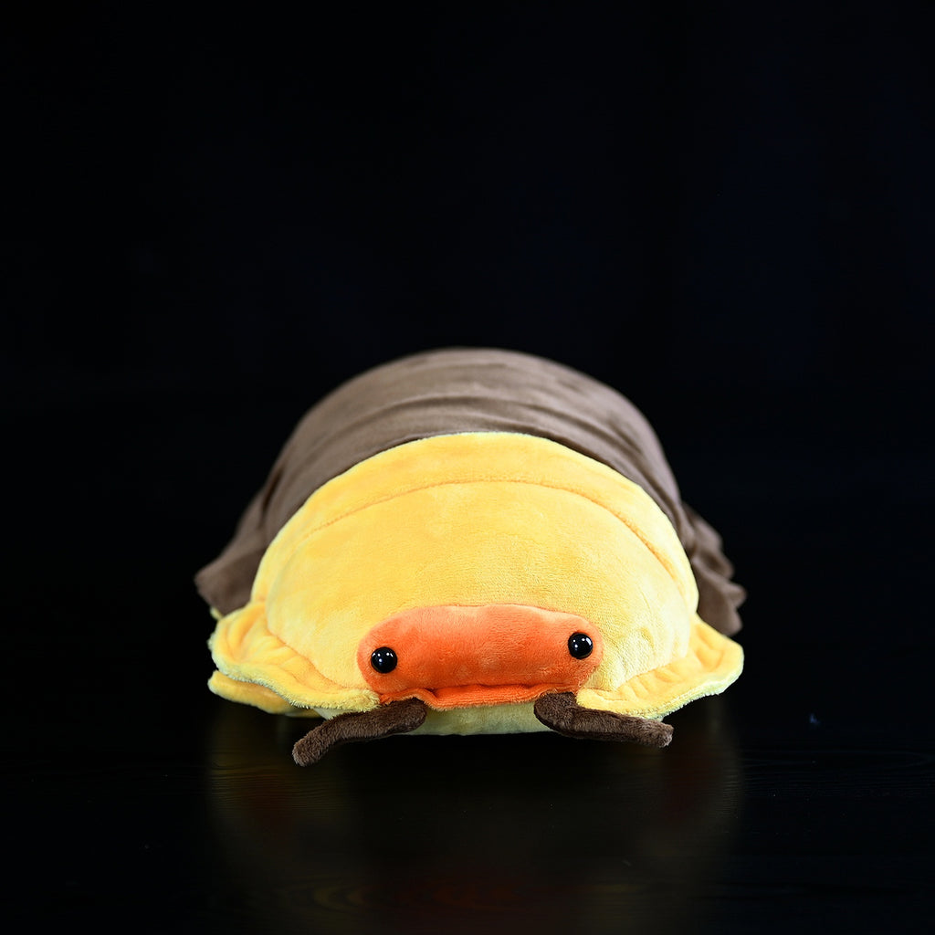 47766f51455f337733b4c831b0881502
