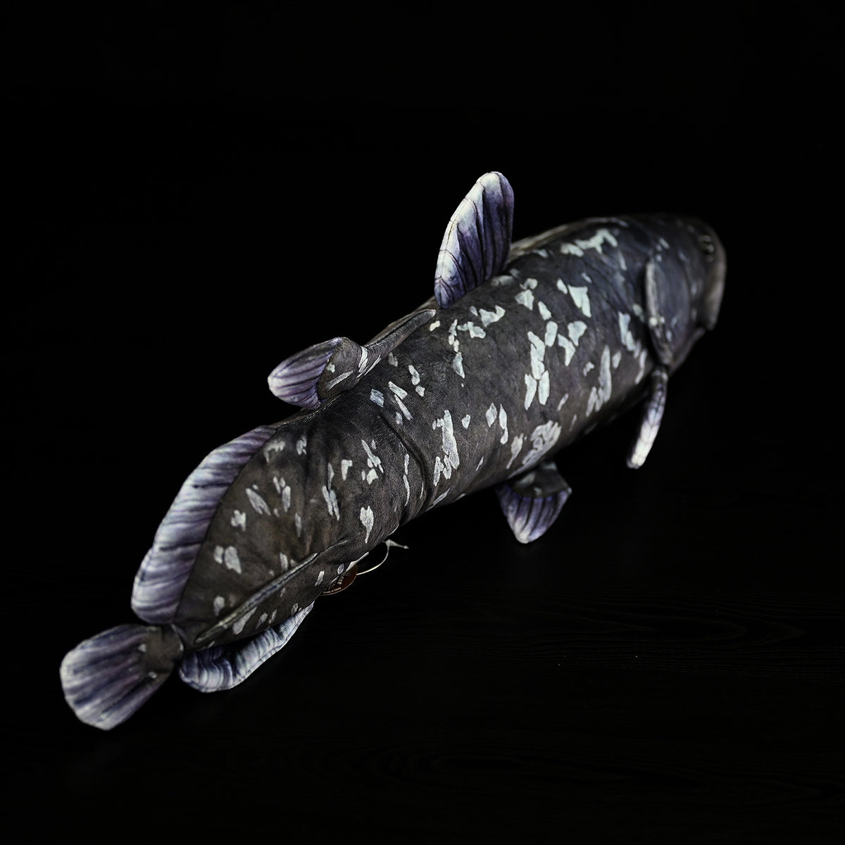 ecd4a57c6e3b7fa83575583aae846d13
