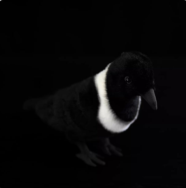 7d57b2151e236f26ffbd22825d444924