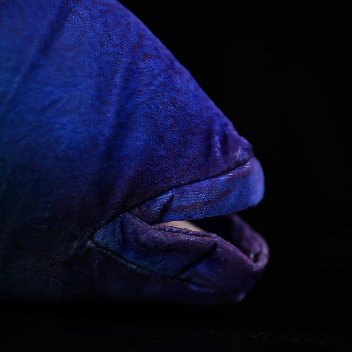 e21cd6788d311dbdb8fc7a734cb0ca5d